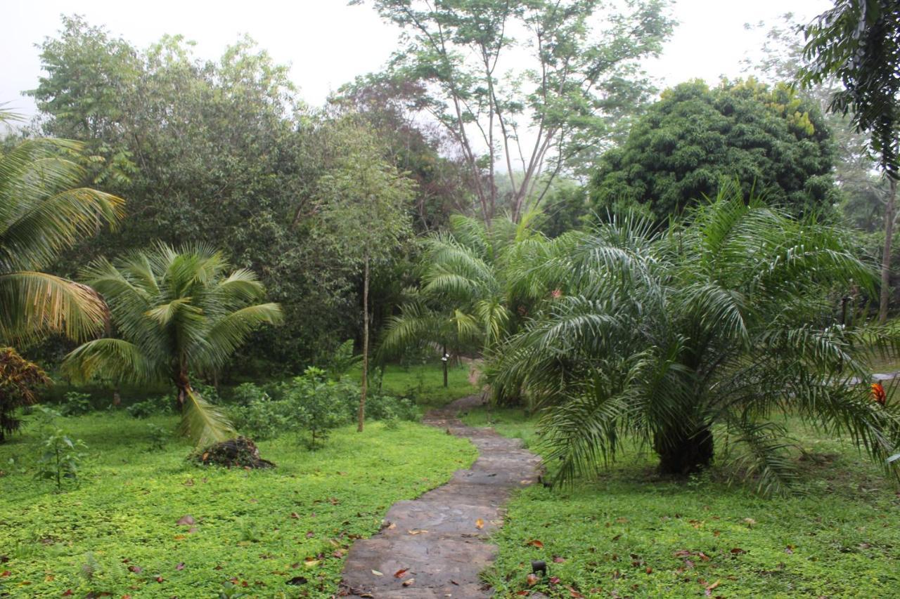 Cordillera Escalera Lodge Tarapoto Exteriör bild