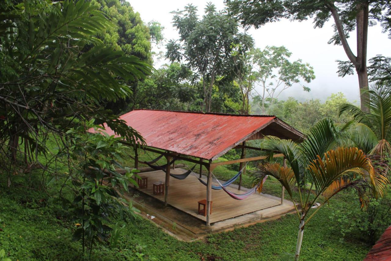 Cordillera Escalera Lodge Tarapoto Exteriör bild