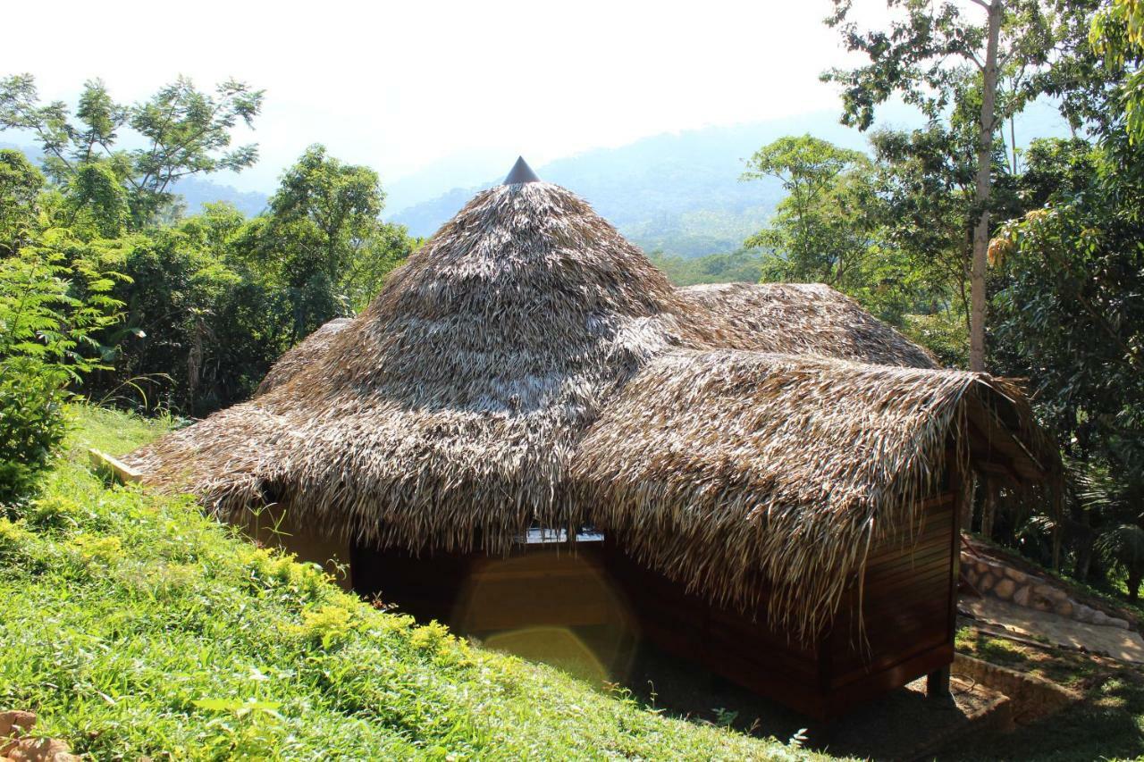 Cordillera Escalera Lodge Tarapoto Exteriör bild